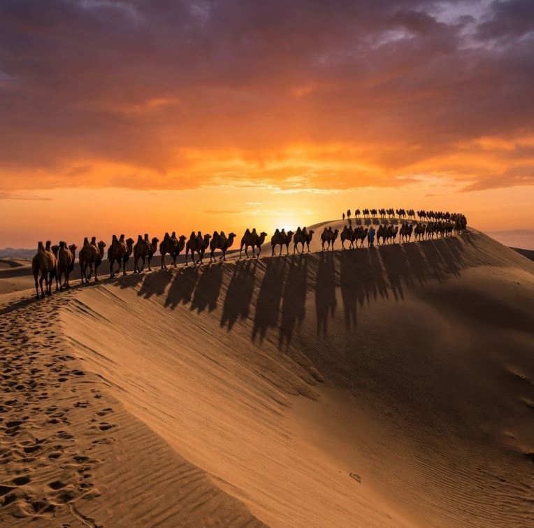 Говийн байгалийг хамгаалах шинжлэх ухааны бие даасан хүрээлэн нээгдэж, үйл ажиллагаагаа эхлүүллээ