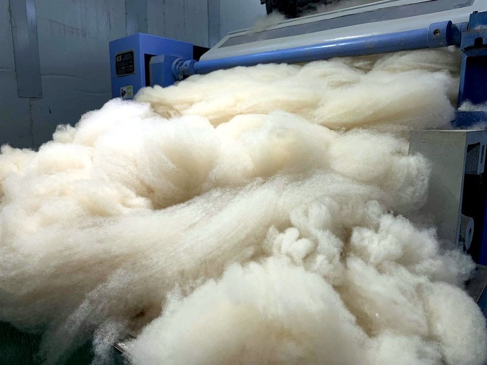 Ноолуурын дуудлага худалдаа болно